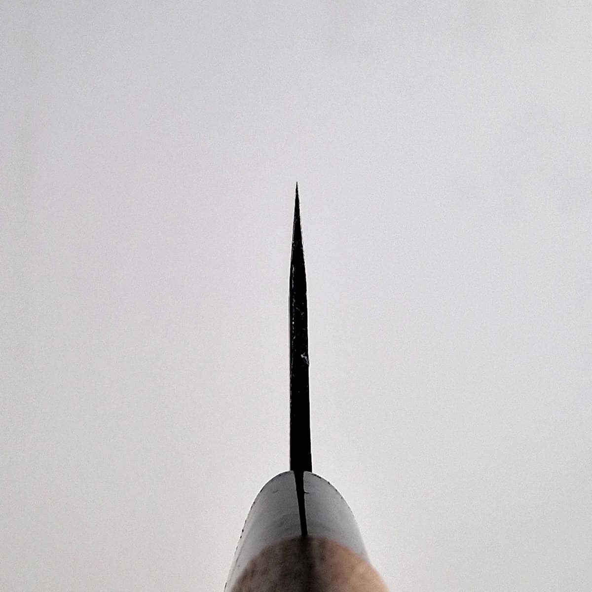 21cm Kokkekniv, Aogami I - ZAKURI — bilde 3