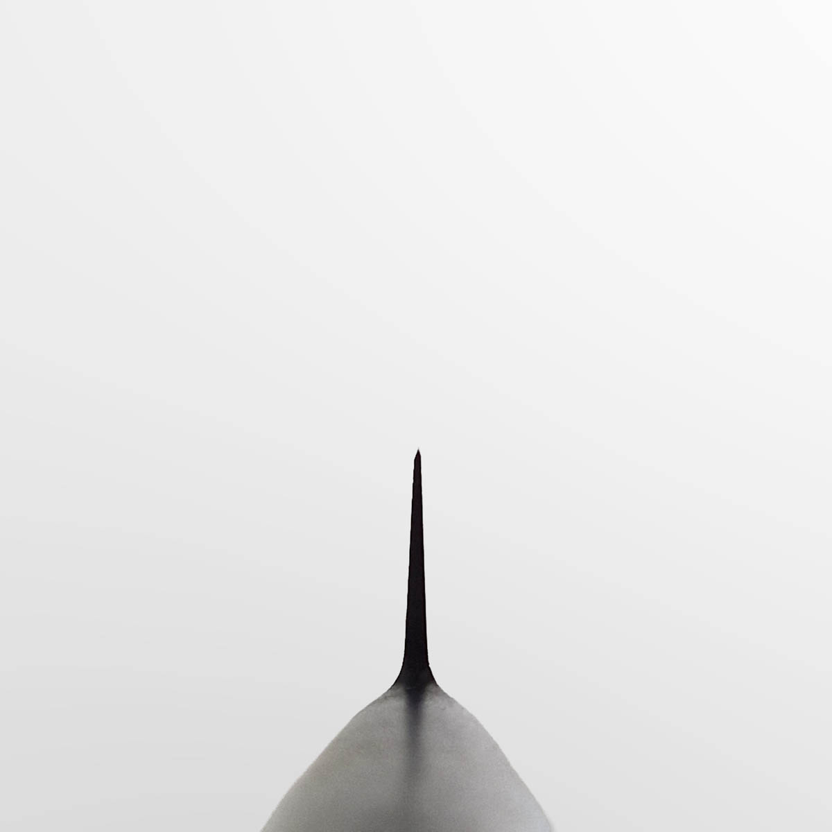 12cm Universalkniv, MV-S - MASAHIRO — bilde 5