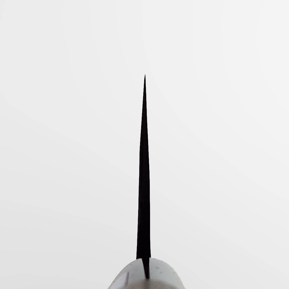 21cm Kokkekniv, Shirogami I - TERUYASU FUJIWARA — bilde 4