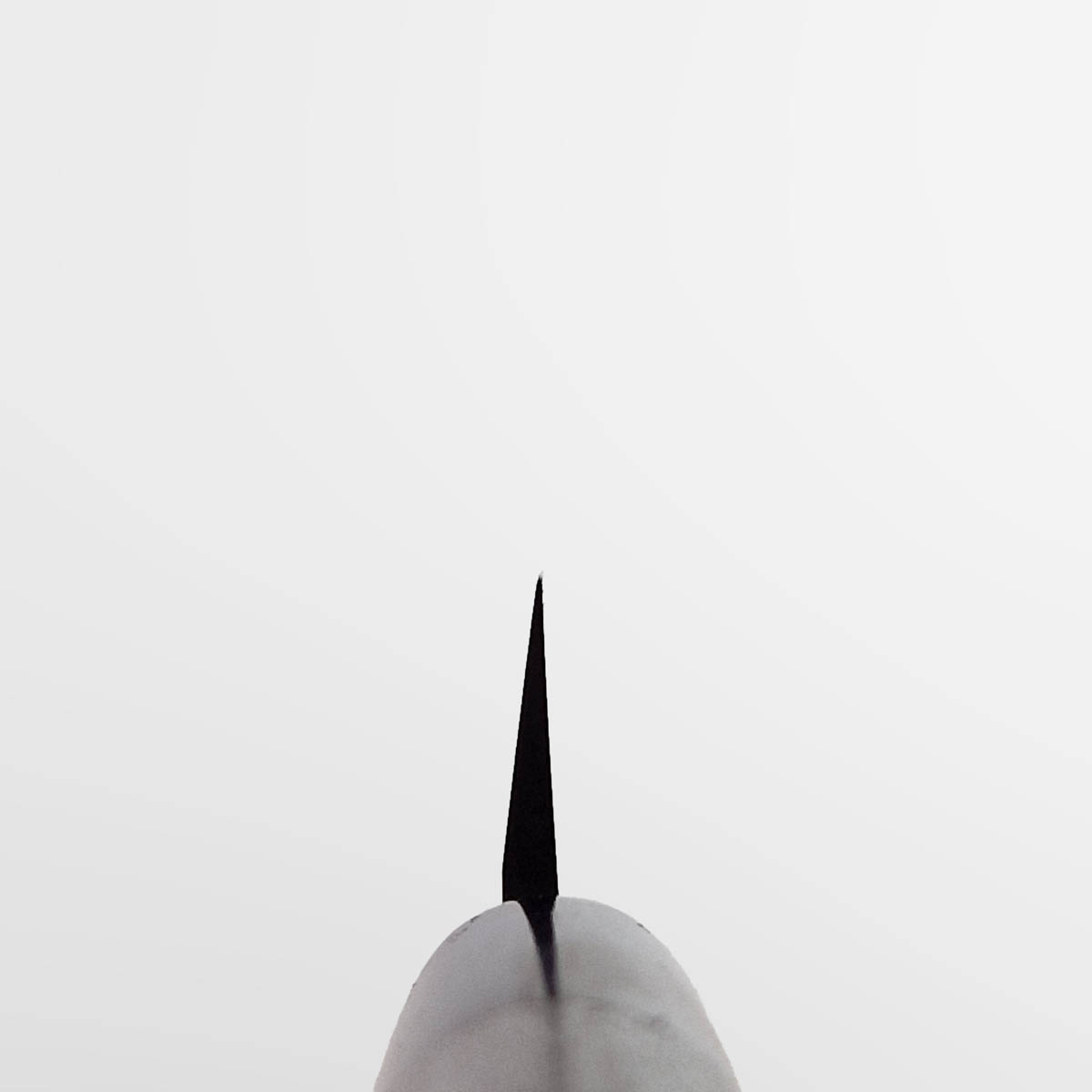 21cm Yanagiba, AUS8, Migaki - HARUYUKI — bilde 5