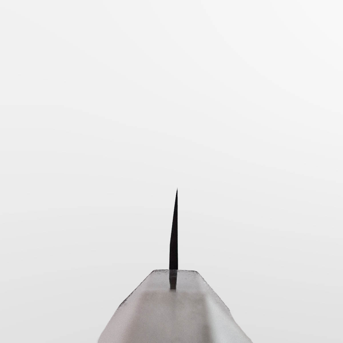 21cm Yanagiba, Ryutoku - TOJIRO — bilde 4
