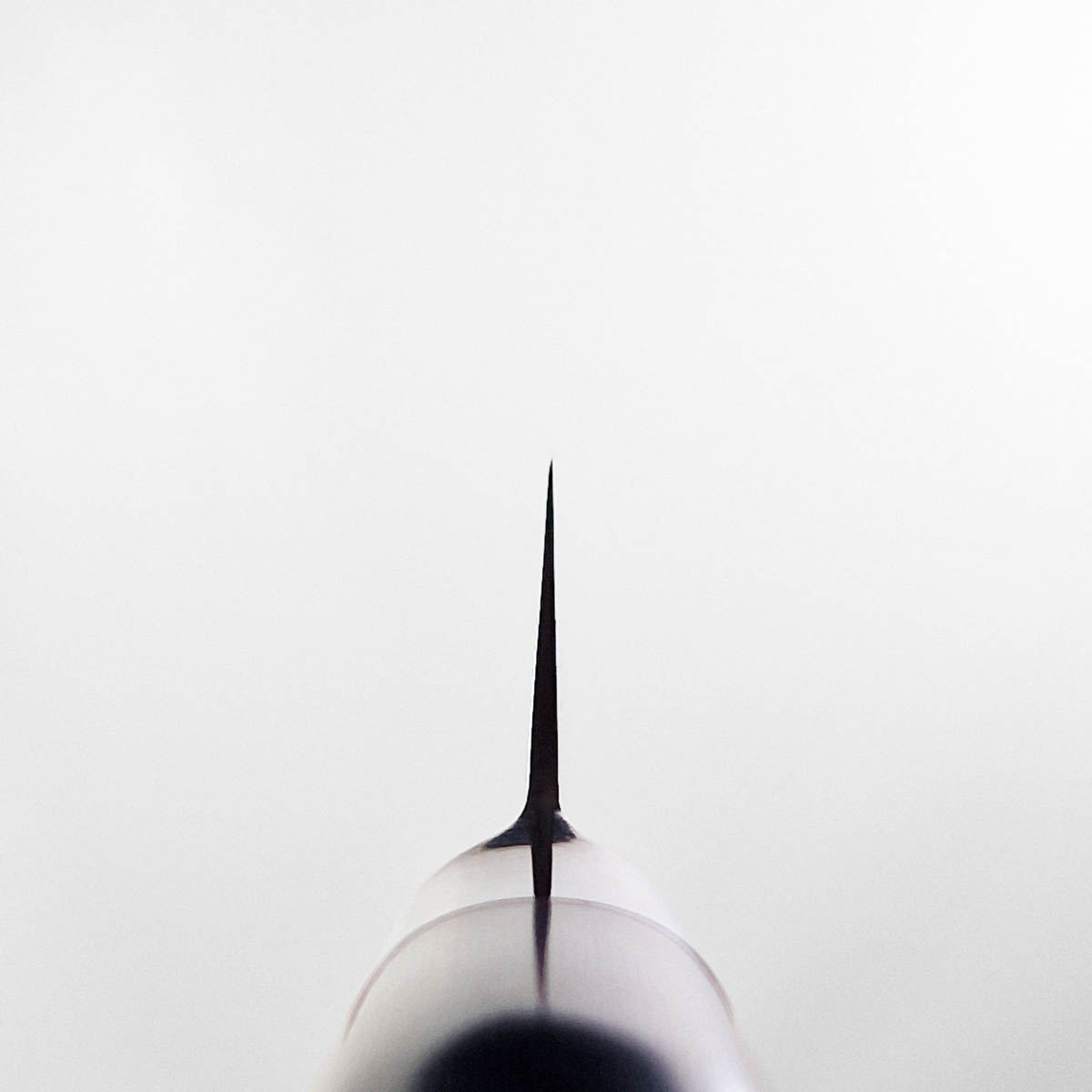 9cm Universalkniv - TAMAHAGANE SAN TSUBAME — bilde 5