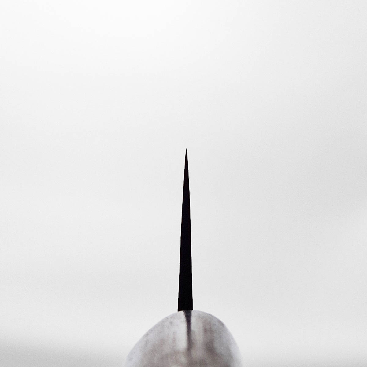 27cm Sujihiki, Aogami II - SHIRO KAMO — bilde 5