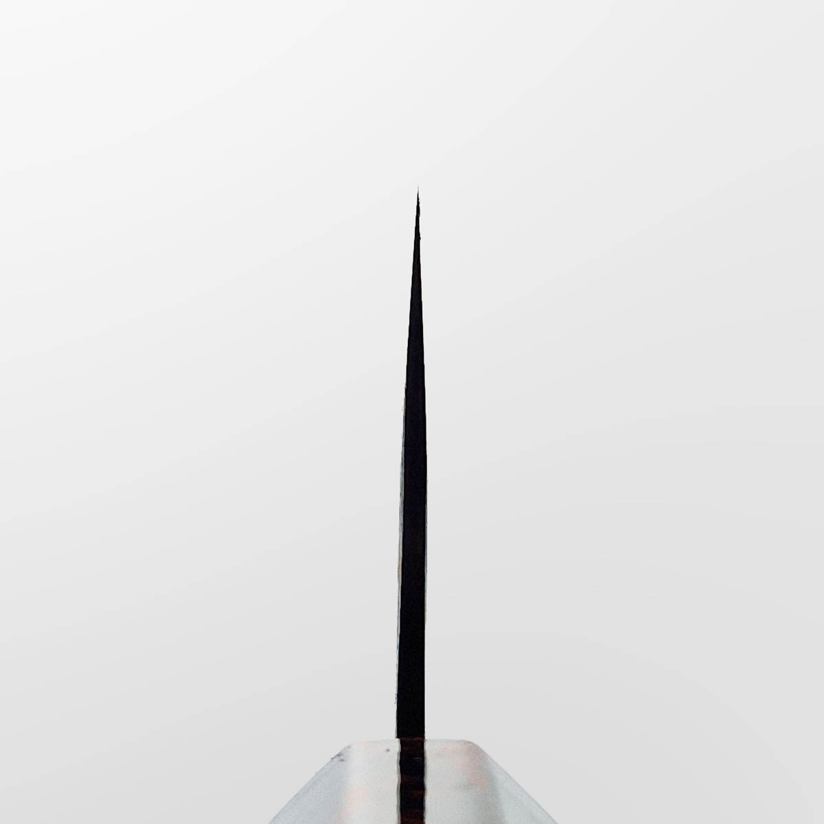 16.5cm Grønnsakskniv (Nakiri) SG2, Ironwood - SAJI — bilde 4
