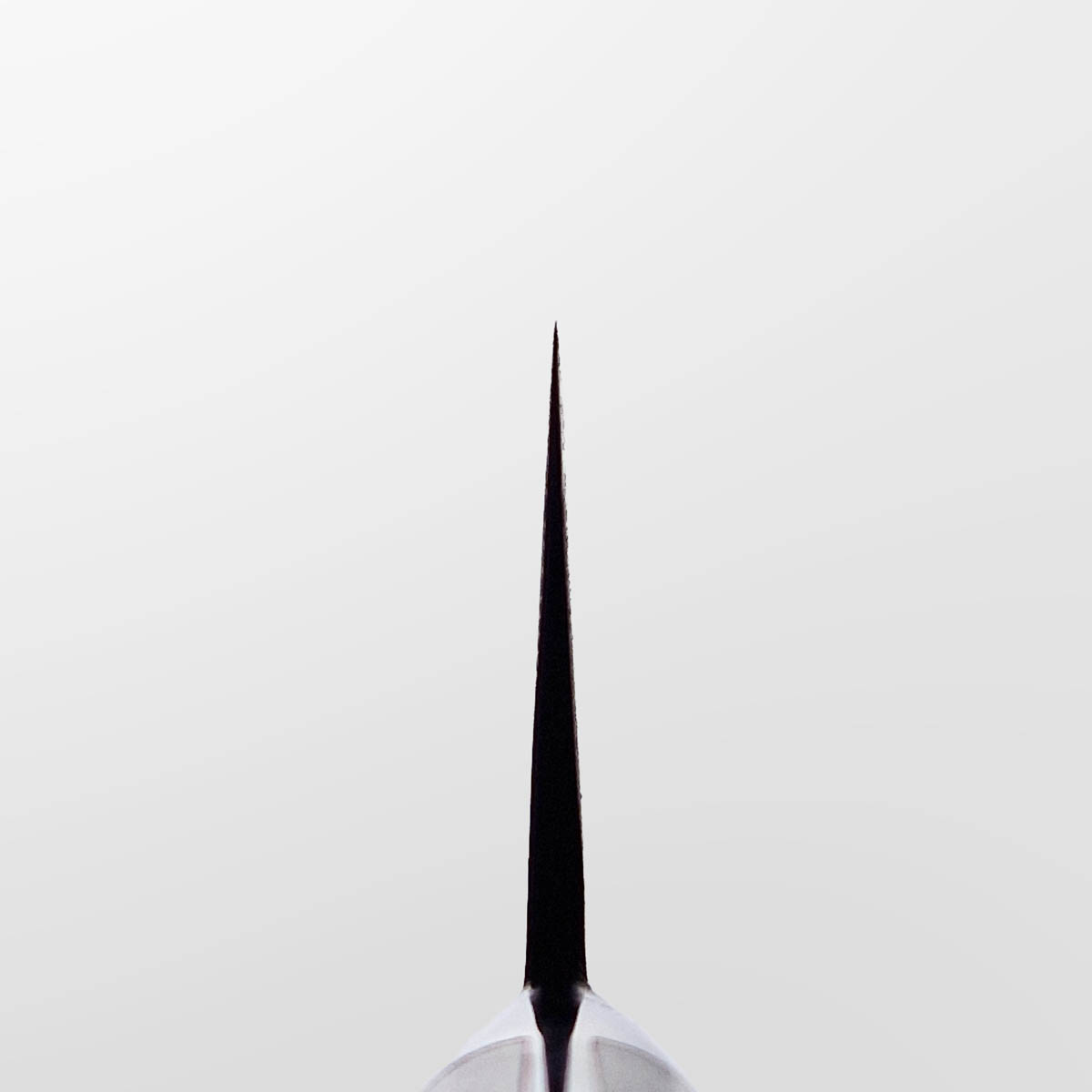 21cm Kokkekniv (Gyoto), Damask SG2 - TANAKA — bilde 5