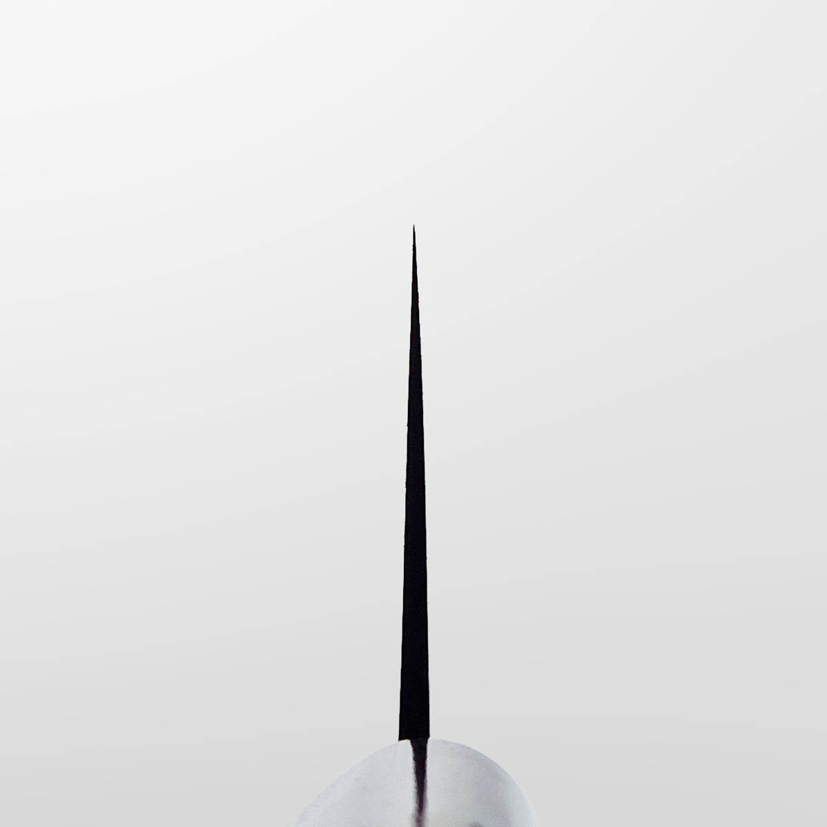16.5cm Grønnsakskniv (Nakiri), Aogami II - SHIRO KAMO — bilde 4