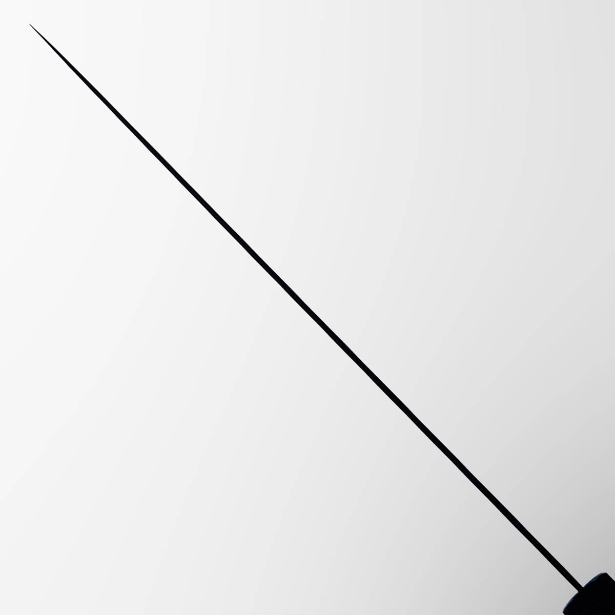 27cm Sujihiki, "Hayabusa", Aogami Super - Hatsukokoro — bilde 5