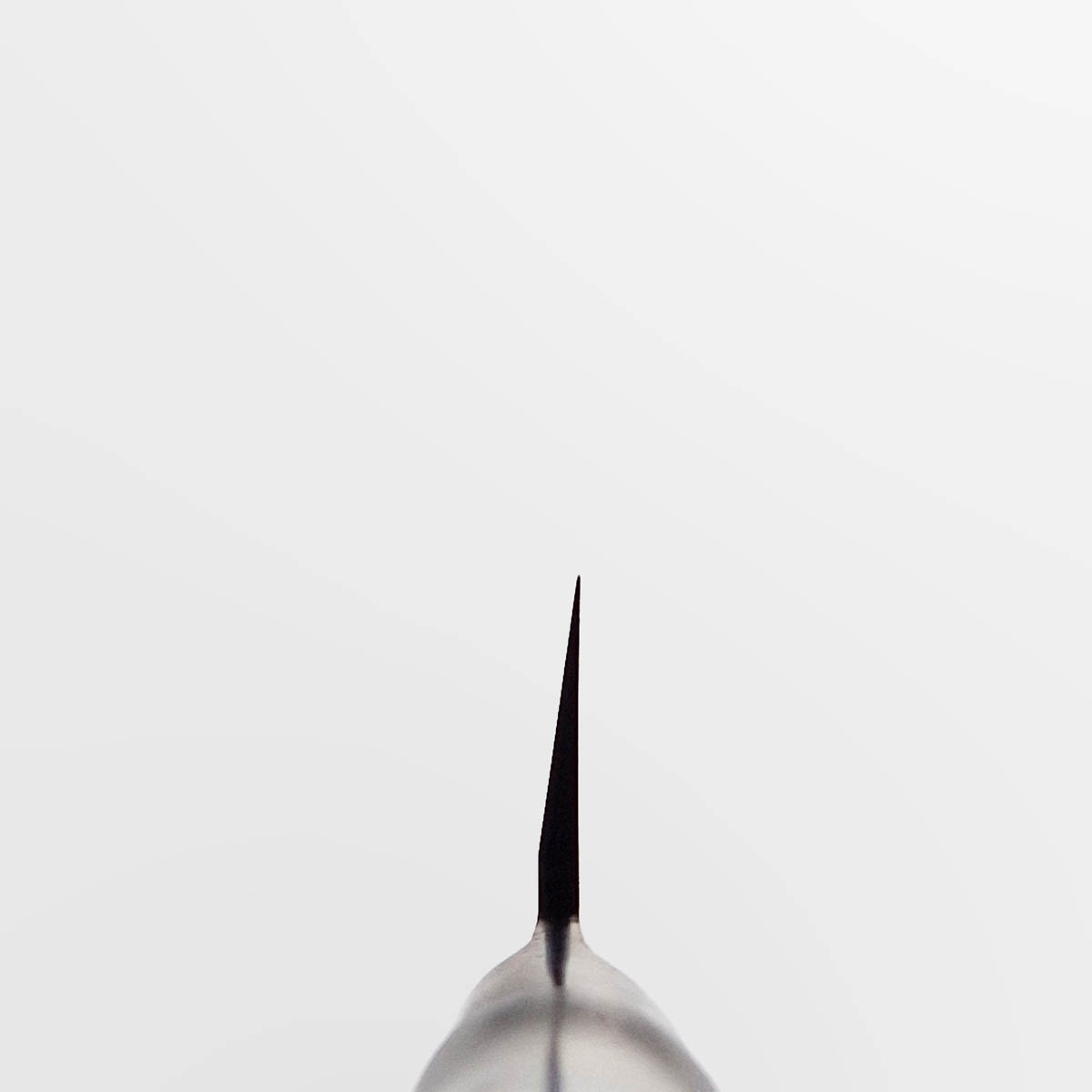 27cm Yanagiba, Pro, Molybden Vanadium - TOJIRO PRO — bilde 4