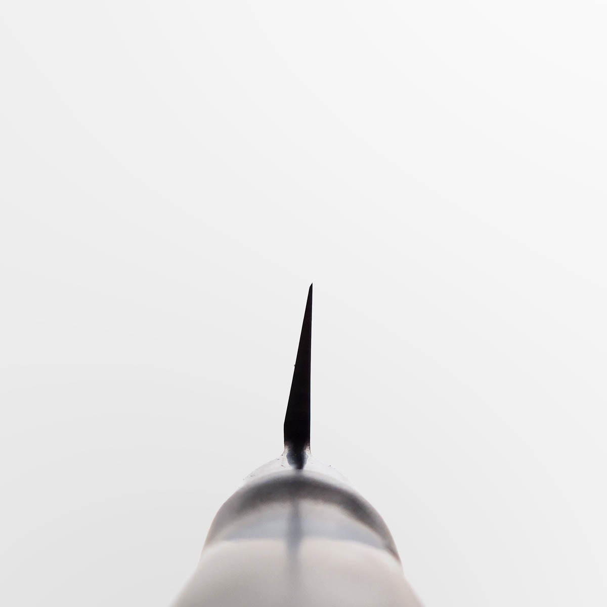 30cm Yanagiba, Pro, Molybden Vanadium - TOJIRO PRO — bilde 4