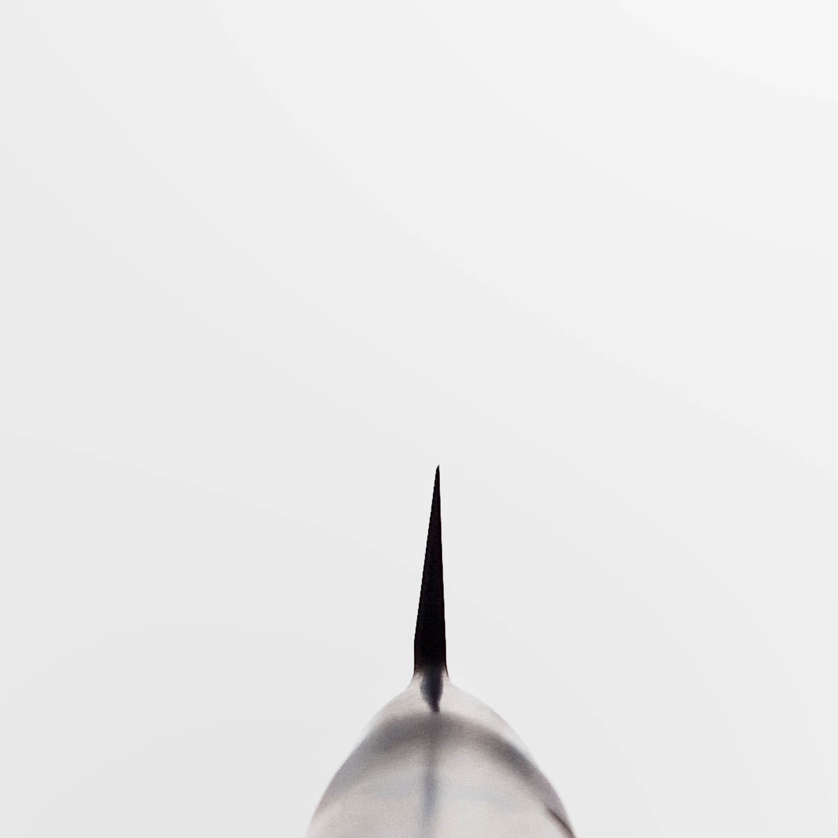 24cm Yanagiba, Pro, Molybden Vanadium - TOJIRO PRO — bilde 4