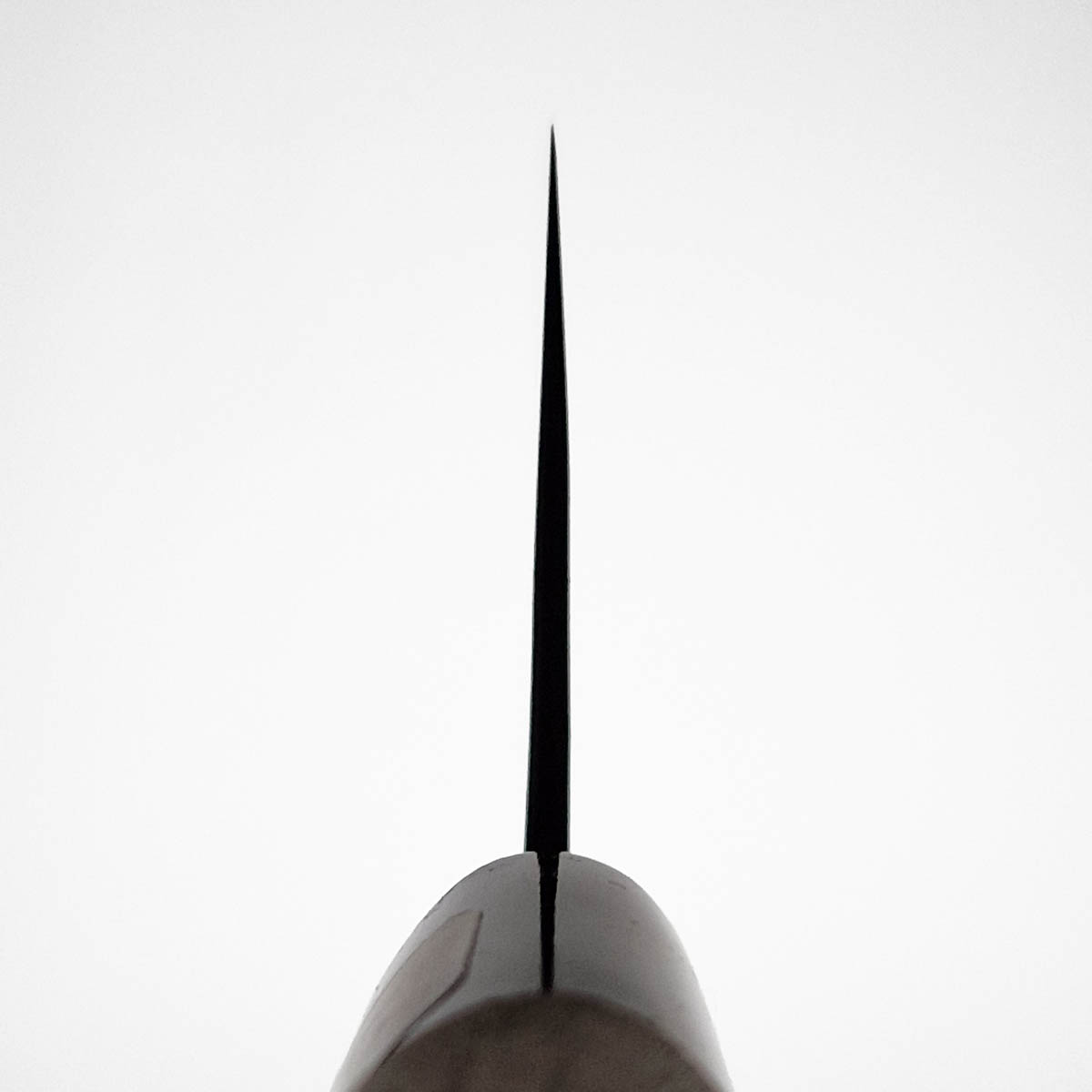 13cm Grønnsakskniv (Nakiri), Shirogami I - TERUYASU FUJIWARA — bilde 4