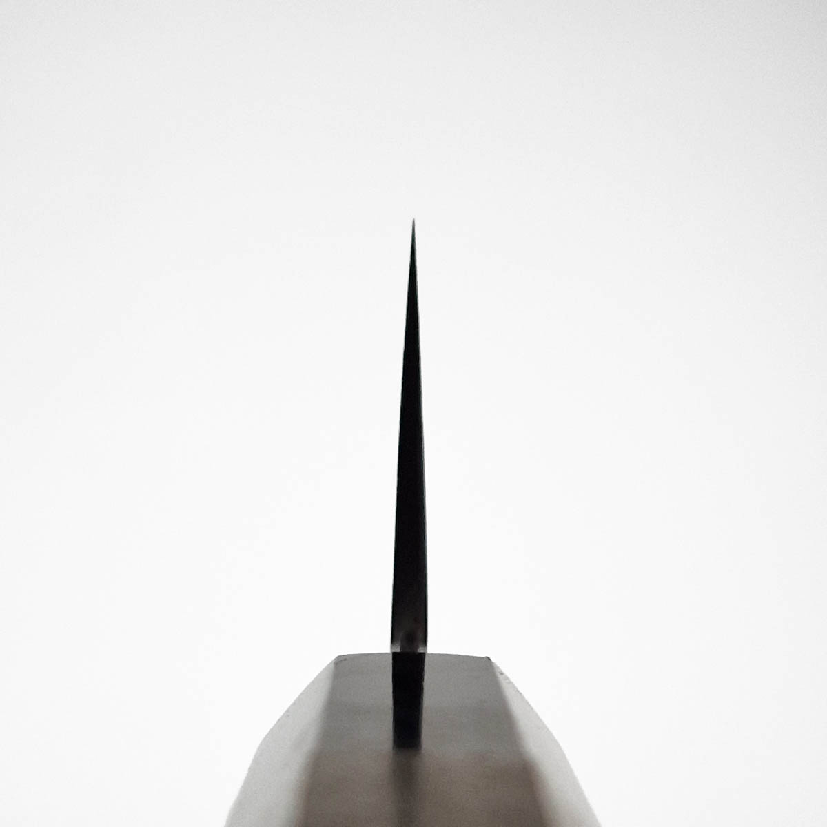 18cm Santoku KIKUZUKI Kasumi, Shirogami II - SAKAI KIKUMORI — bilde 4