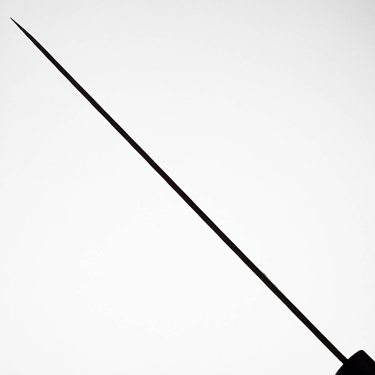 27cm Yanagiba, AUS8, Migaki - HARUYUKI — bilde 6