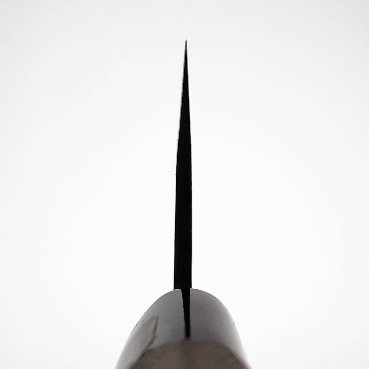 18cm Kokkekniv (Gyoto), Shirogami I - TERUYASU FUJIWARA — bilde 4