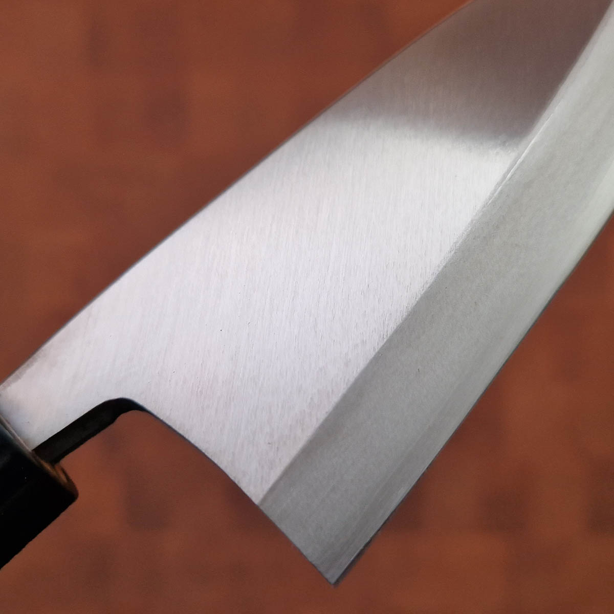 10.5cm Deba, VG10 - TANAKA — bilde 2