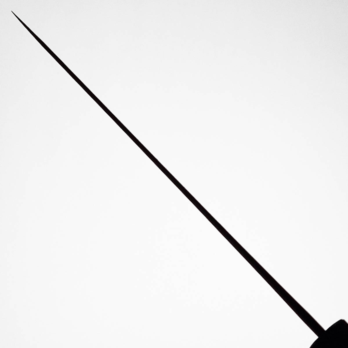 21cm Kokkekniv (gyoto), "Kumokage", Aogami II - Hatsukokoro — bilde 5