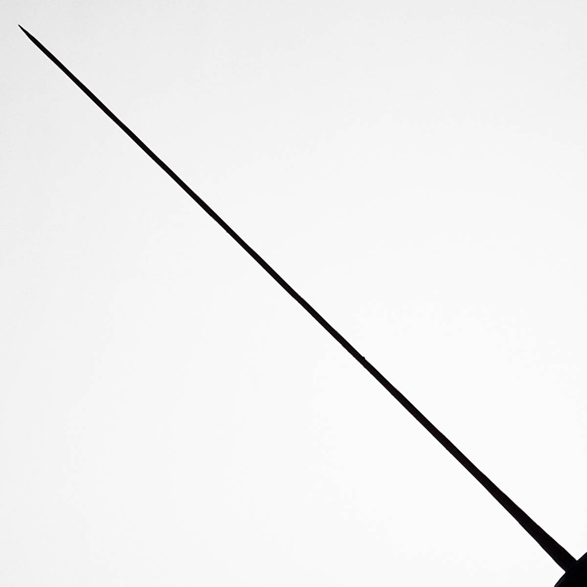 24cm Kokkekniv (Gyoto), Aogami II - SHIRO KAMO — bilde 5