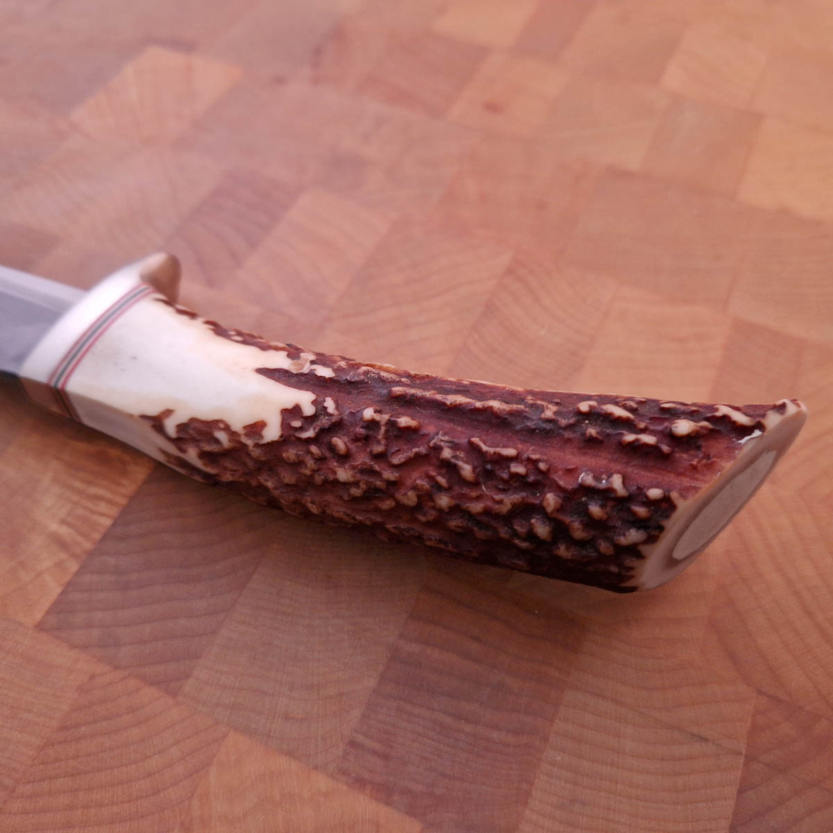 TAKEDA Hunting knife - Stag — bilde 4