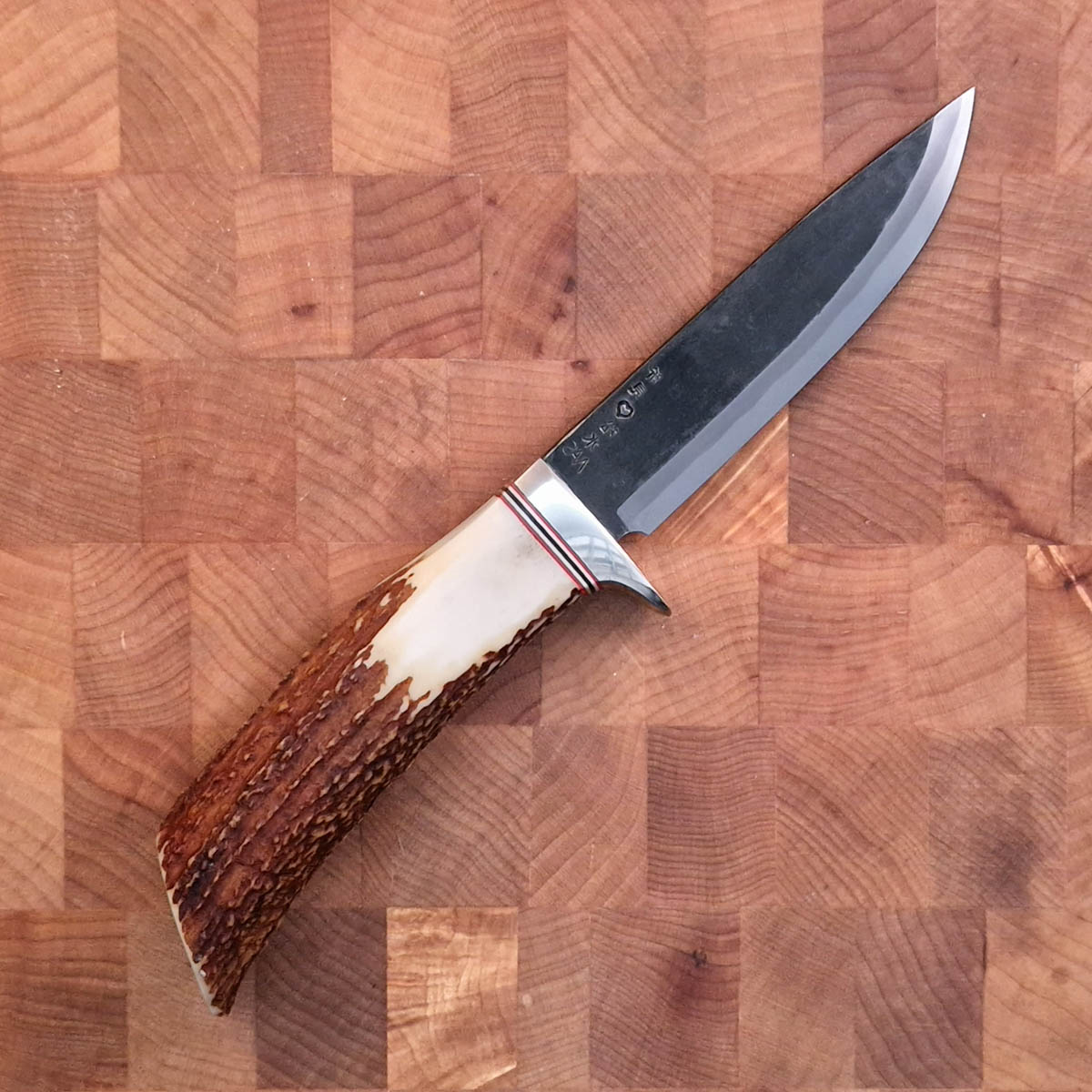 TAKEDA Hunting knife - Stag — bilde 1