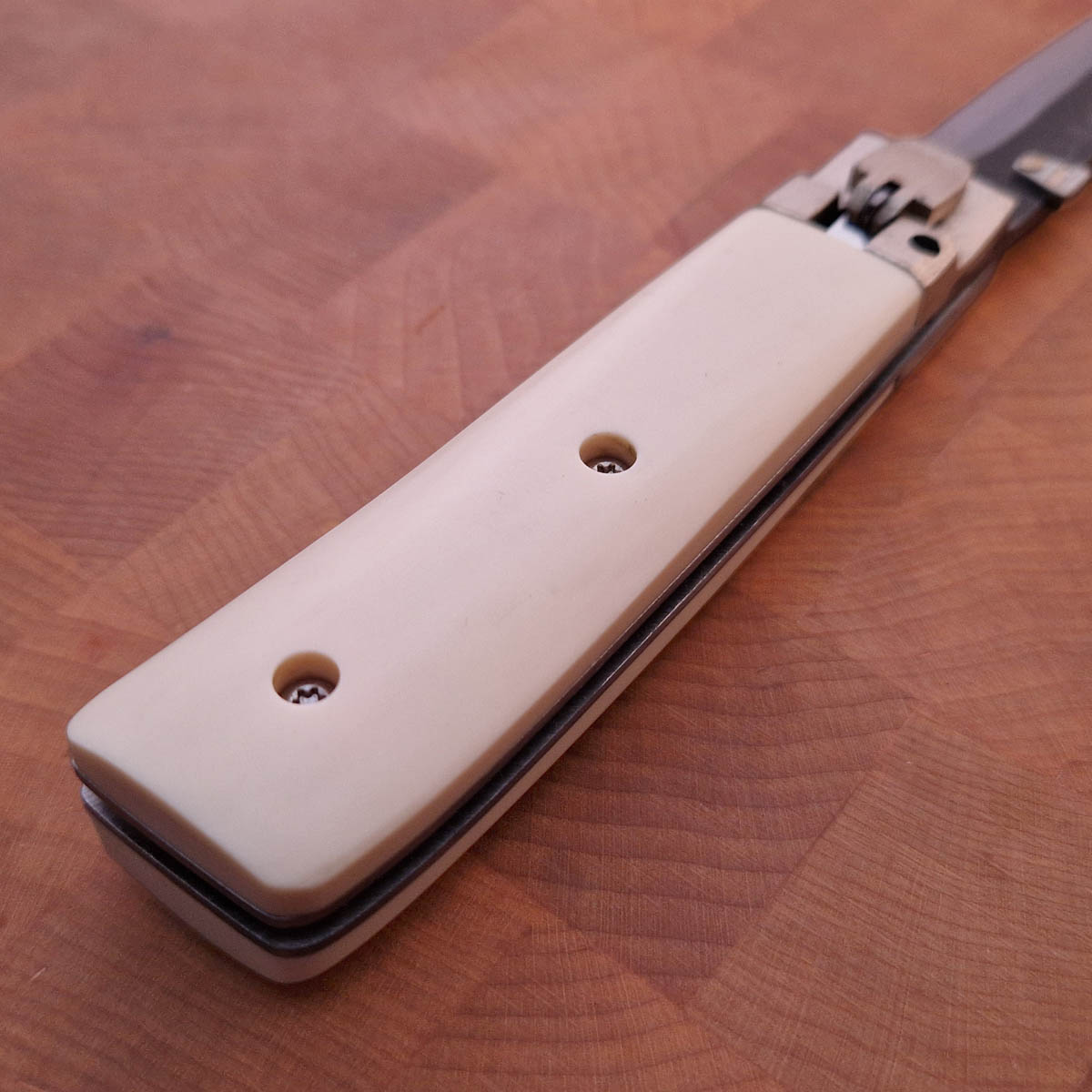TAKEDA Foldekniv - Paper Micarta — bilde 5