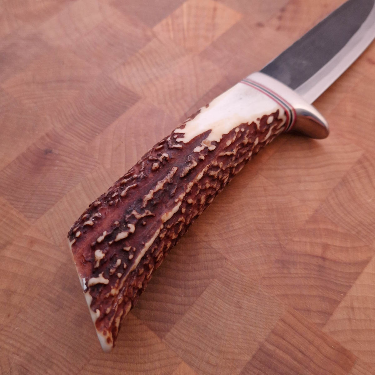 TAKEDA Hunting knife - Stag — bilde 5
