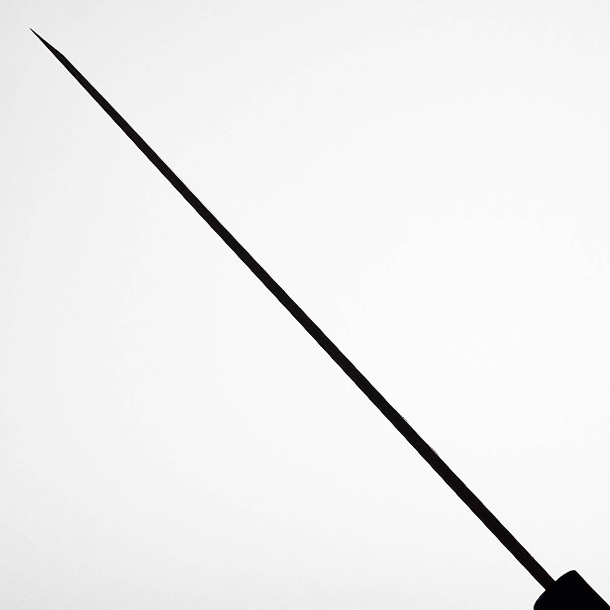 30cm Kiritsuke Yanagiba, Shirasagi, Shirogami II - Hatsukokoro — bilde 6