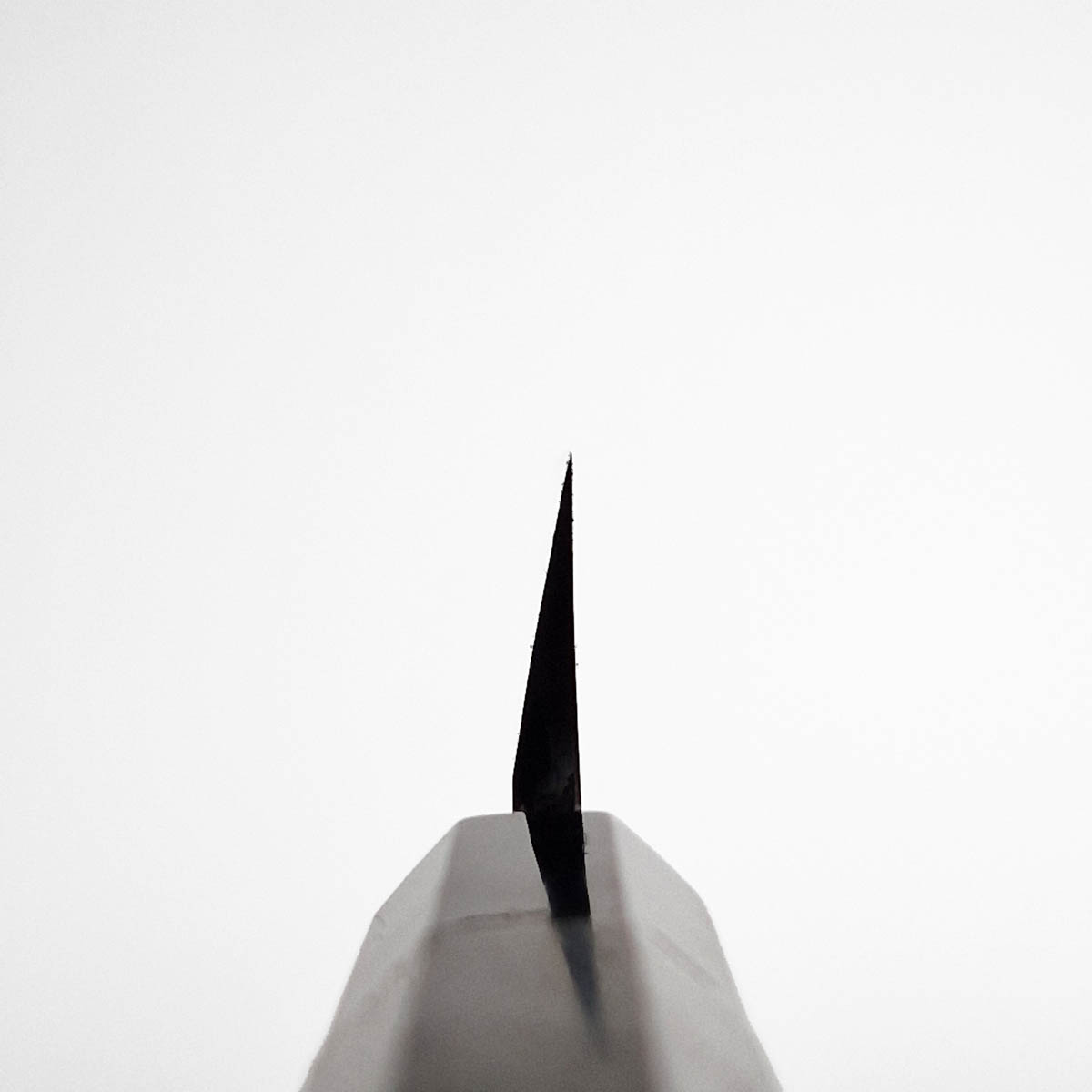 30cm Kangata Yanagiba, Swedish steel - Sakai Takayuki — bilde 7