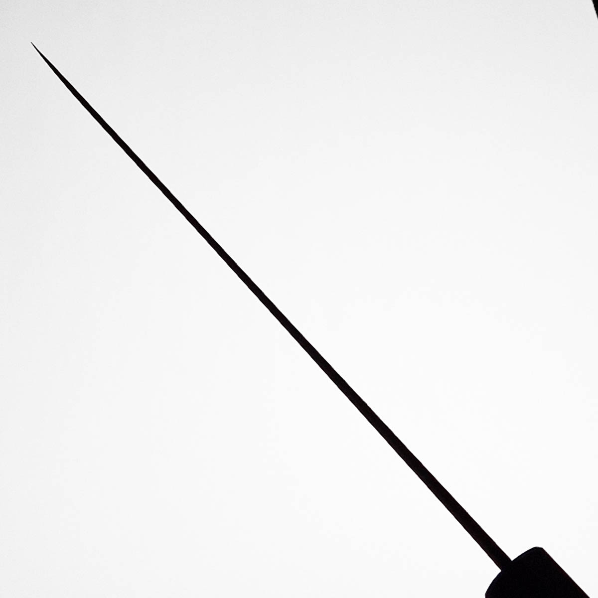 24cm Kokkekniv, "Kumokage", Aogami II - Hatsukokoro — bilde 5