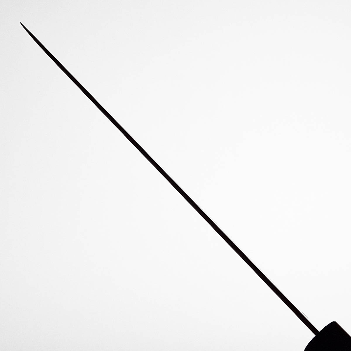21cm Kokkekniv (Gyoto), Sakuya - TOJIRO — bilde 5