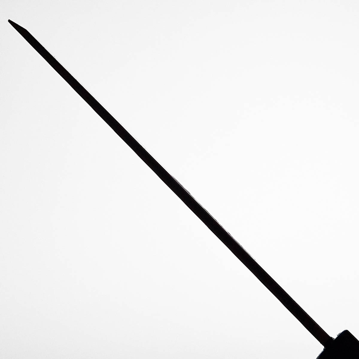 15cm Usuba (tradisjonell), Shirogami II - Sakai Takayuki — bilde 6