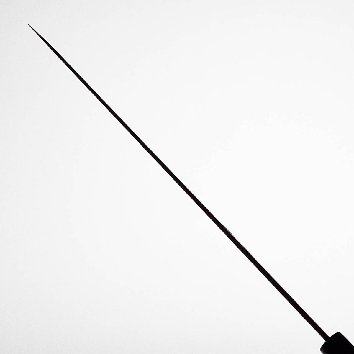 27cm Fuguhiki Yanagiba, Shirogami II - Sakai Takayuki — bilde 6