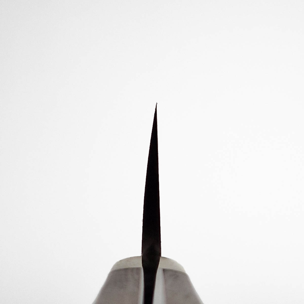 13.5cm FIleteringskniv (Deba) "Ironwood", SG2 - MR. ITOU (Yusui) — bilde 5