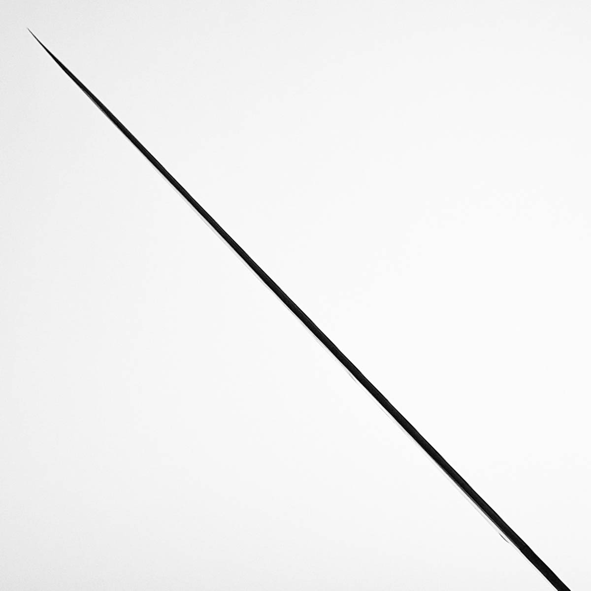 21cm Kiritsuke, Damask G3 - Hatsukokoro — bilde 13