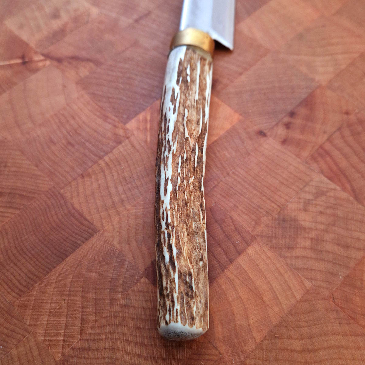 17cm Ko-Yanagiba, "Stag handle", G3 - Saji — bilde 4