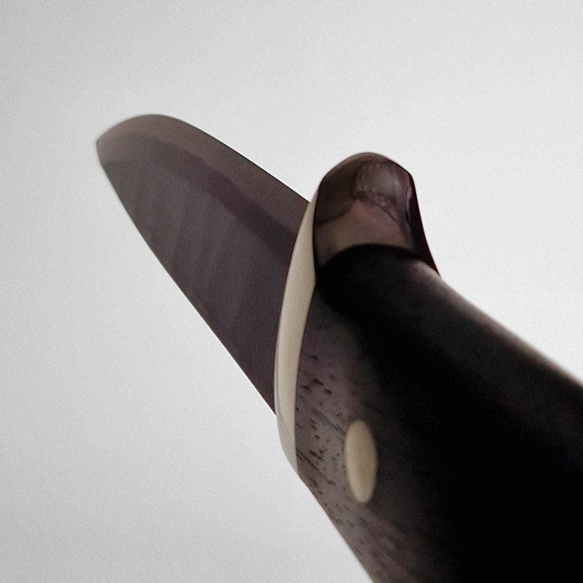 TAKEDA Hunting knife - Cocobolo — bilde 7