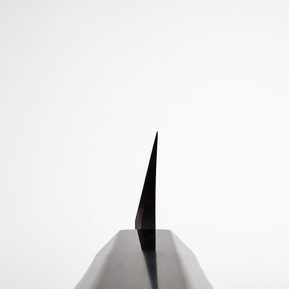 33cm Kiritsuke Yanagiba, Shirogami II - Sakai Takayuki — bilde 7