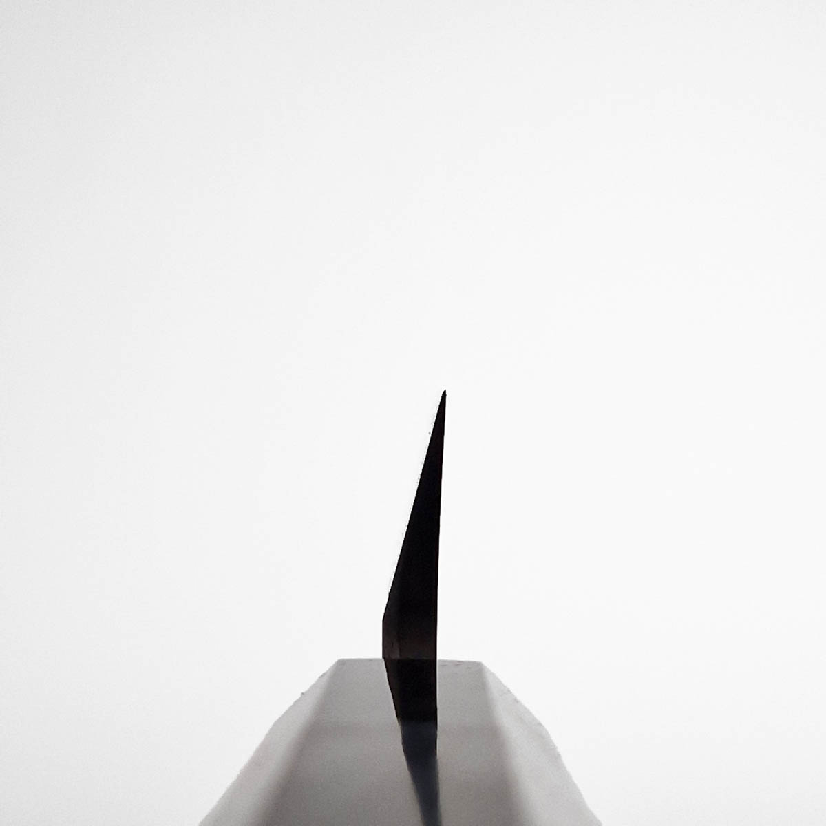 30cm Sekimaru Takohiki, Shirasagi, Shirogami II - Hatsukokoro — bilde 5