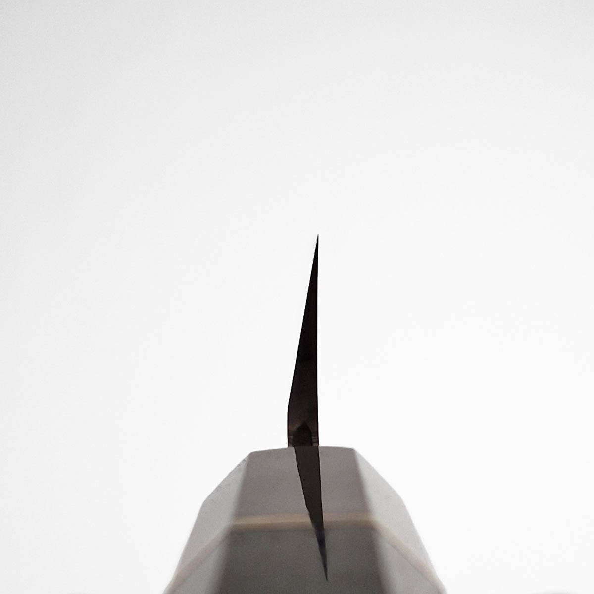 30cm Sakimaru Shoubu, Swedish steel - Sakai Takayuki — bilde 7