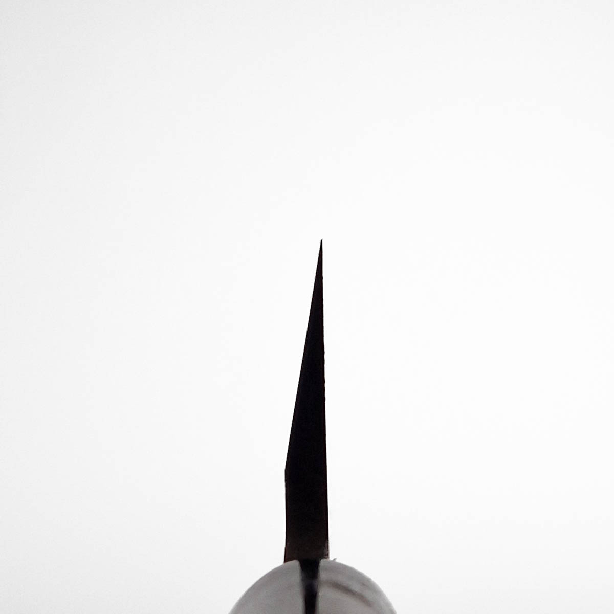 15cm Usuba (tradisjonell), Shirogami II - Sakai Takayuki — bilde 5