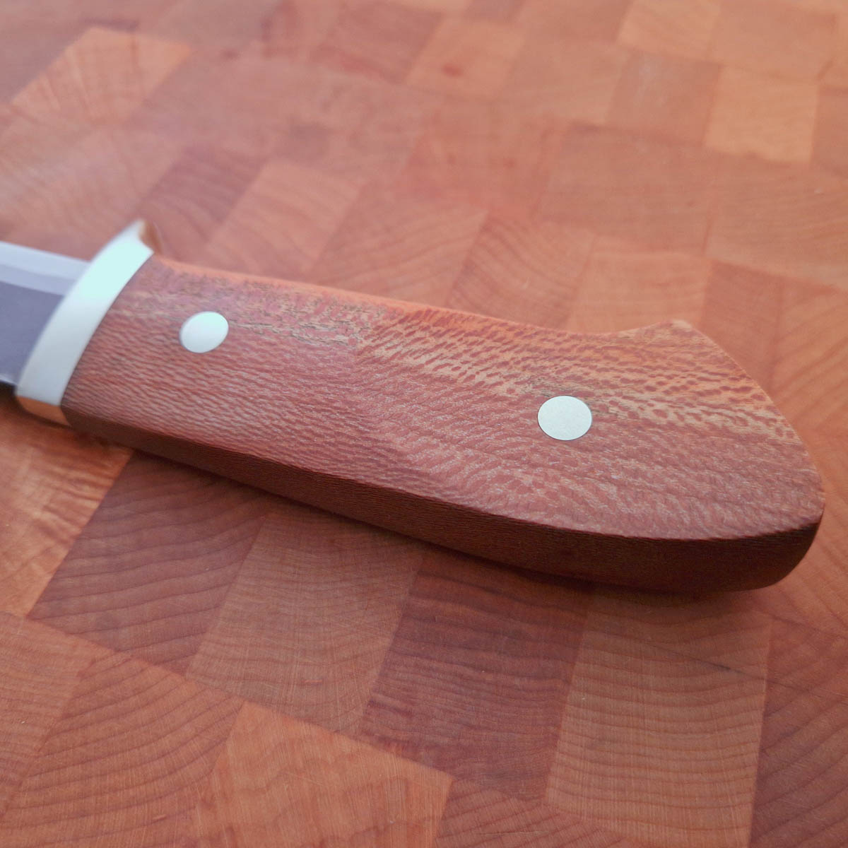 TAKEDA Hunting knife - Sycamore — bilde 5