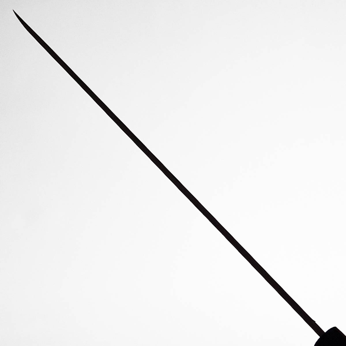 27cm Yanagiba, Venstre hendt, Shirogami II - TOJIRO — bilde 6