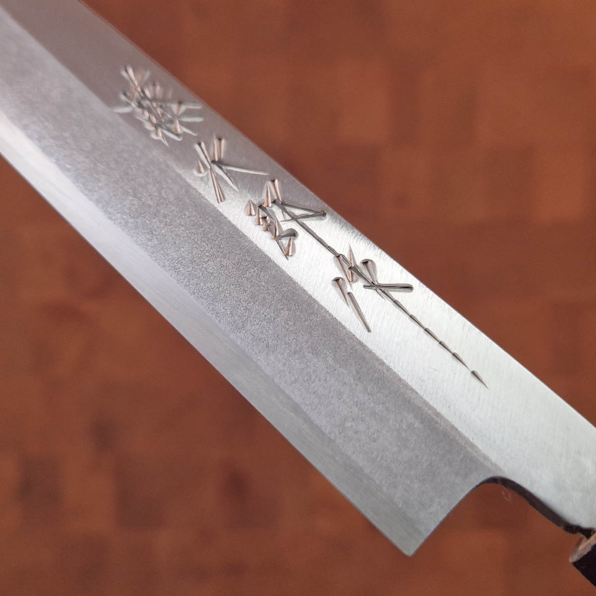 24cm Yanagiba, Venstre hendt, Shirogami II - TOJIRO — bilde 3
