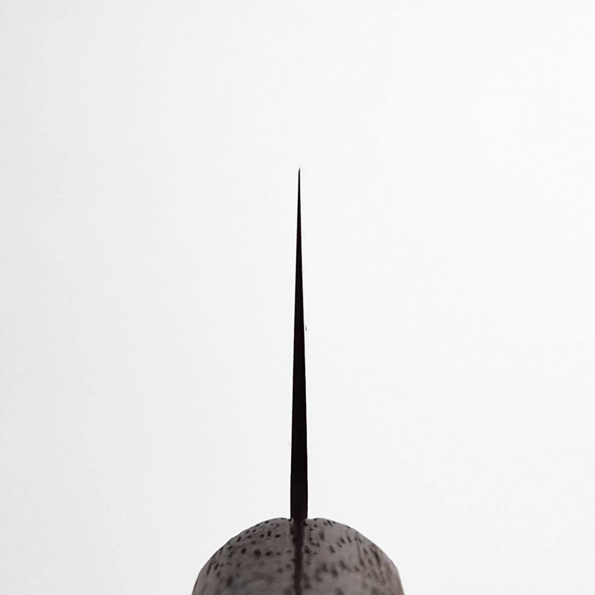 21cm Kokkekniv, 8A - KANETSUGU — bilde 5