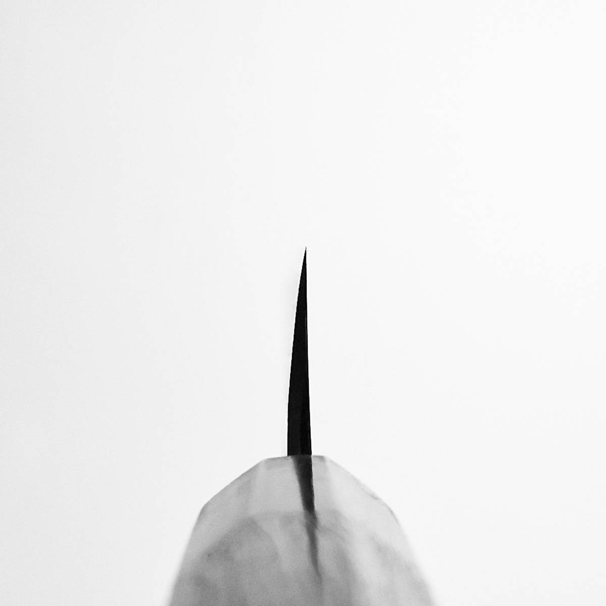 24cm Kiritsuke Shirogami - HIDEO KITAOKA — bilde 5