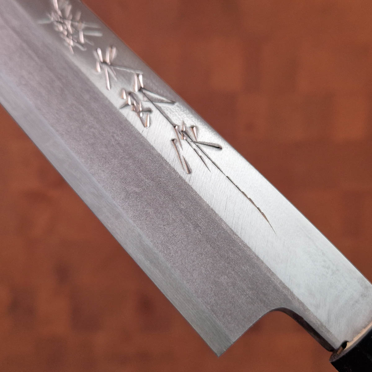 27cm Yanagiba, Venstre hendt, Shirogami II - TOJIRO — bilde 3
