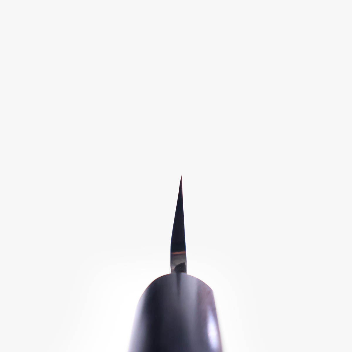 21cm Yanagiba, G3, Migaki - HARUYUKI — bilde 5