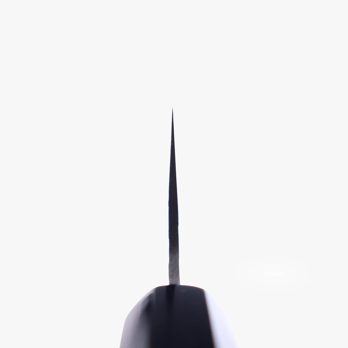21cm Kokkekniv, TS10 (VG10) - SAKAI KIKUMORI — bilde 4