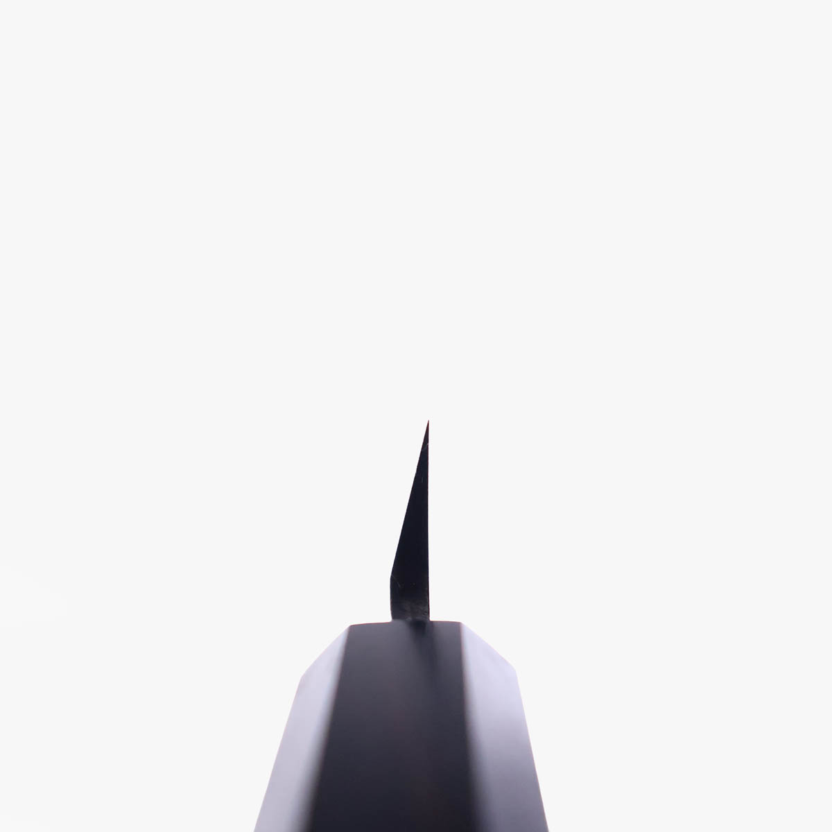 27cm Yanagiba "Bogashi" SK - TANREN — bilde 5