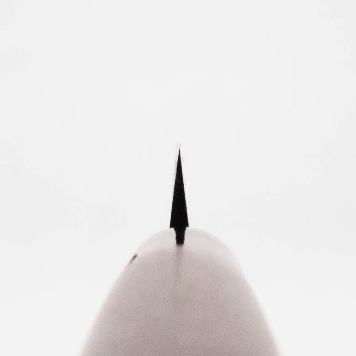 12cm Matsuba, Shiroami - HIDEO KITAOKA — bilde 4