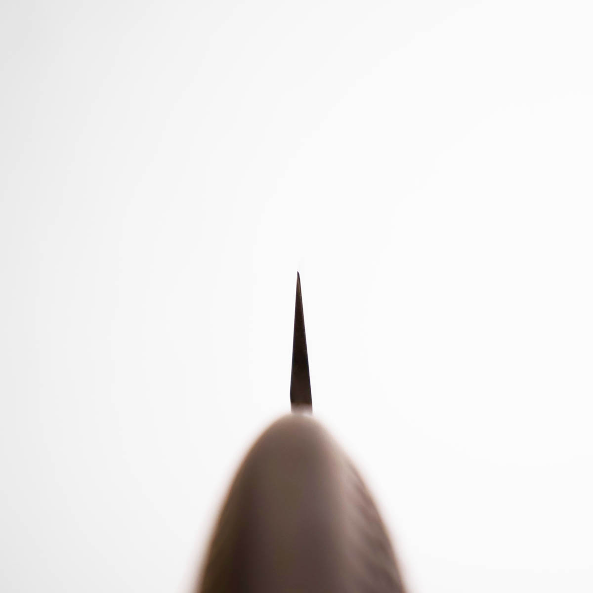 25cm Yanagiba - GLOBAL — bilde 5